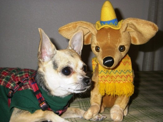 Chiguy y su peluche "paisano"